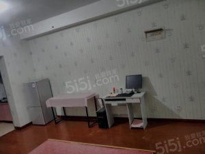 吾悦广场 1室1厅1卫