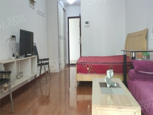 吾悦广场 1室1厅1卫